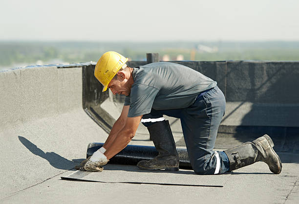 Professional Insulation Contractor in Stone Ridge, VA