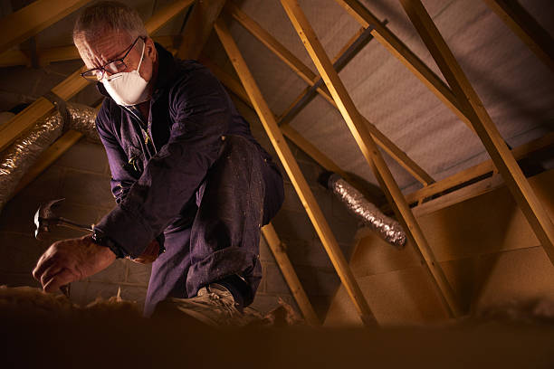 Best Geographic-Specific Insulation Services in Stone Ridge, VA