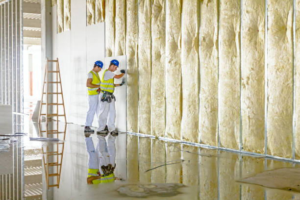 Best Residential Insulation in Stone Ridge, VA